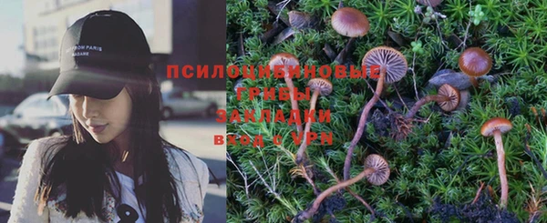 меф Арсеньев