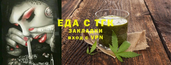индика Аркадак