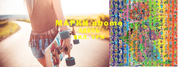 индика Аркадак