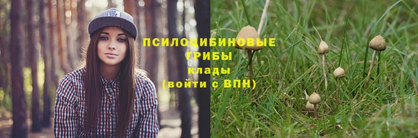 индика Аркадак
