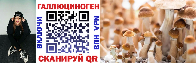Псилоцибиновые грибы мицелий  продажа наркотиков  Лянтор 